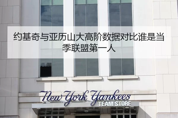 约基奇与亚历山大高阶数据对比谁是当季联盟第一人