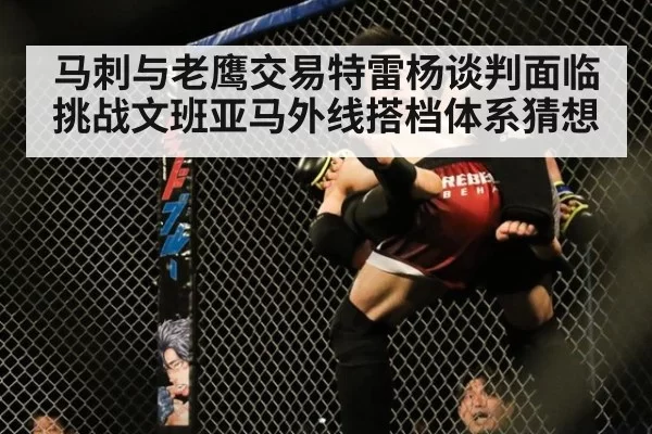 马刺与老鹰交易特雷杨谈判面临挑战文班亚马外线搭档体系猜想